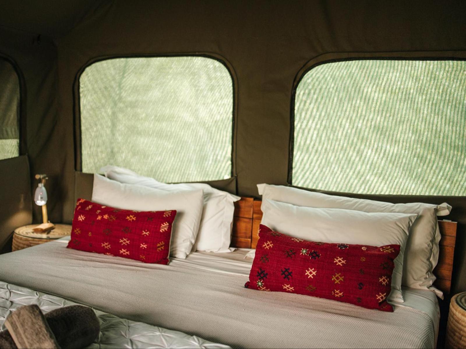 Bushveld Bivouac Private Camp Apartment Mica Cameră foto